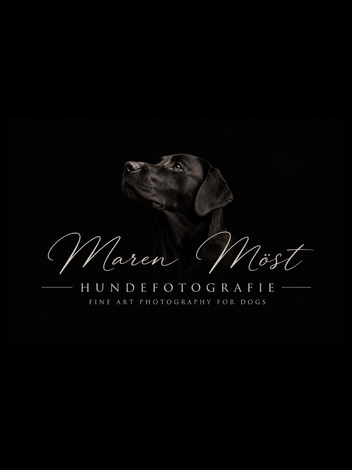 Logo der Hundefotografie von Maren Möst